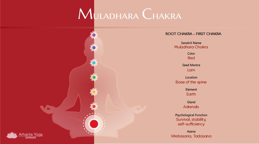 Main chakras of yoga